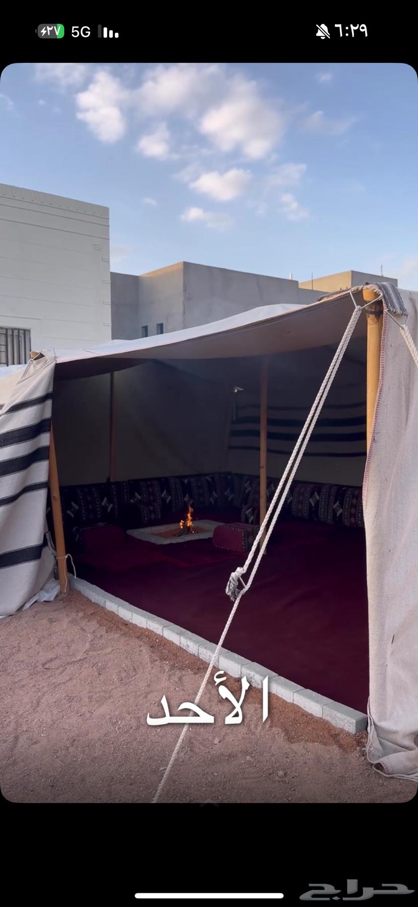 قطيه للبيع 7في564496132197761111