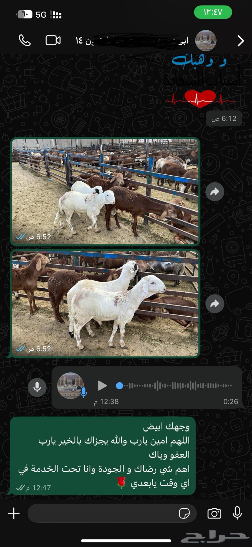 سواكني للبيع64502029241729111