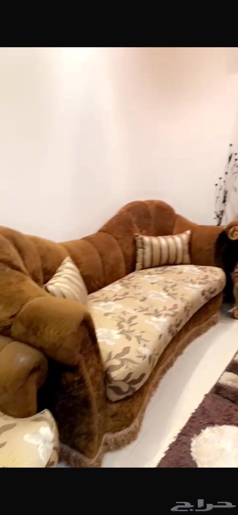 طقم كنب لمجلس نسائي64497399942786111