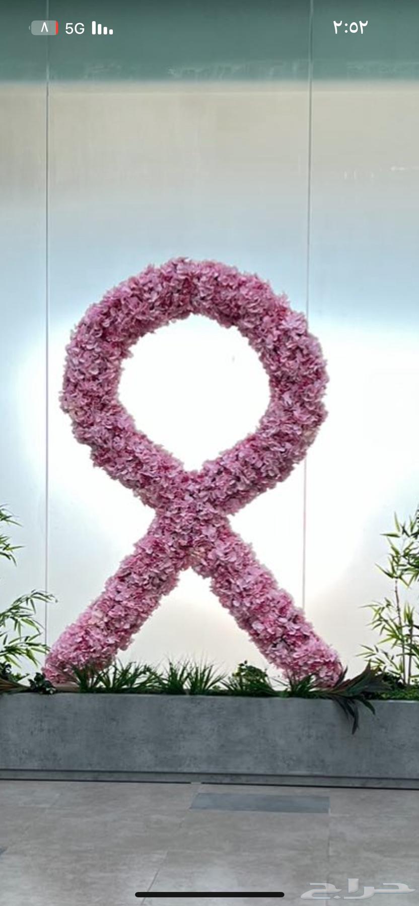 استاند خشب لسرطان الثدي64498508797697110