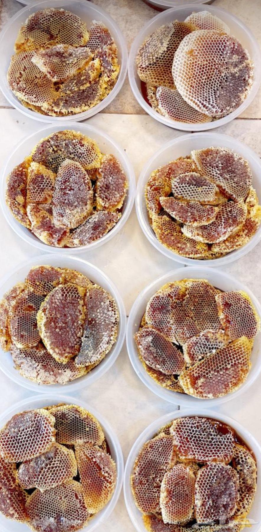 عسل سدره وسمره وطلحه وغذاء المكات وغيرها اصلي ومضمون64496917625601110