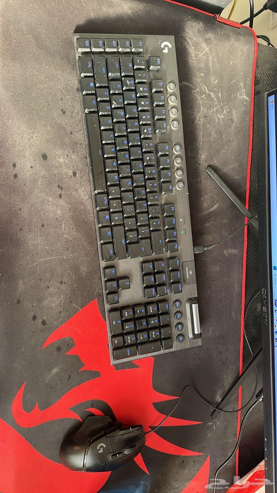 Jasmine64499773127554111