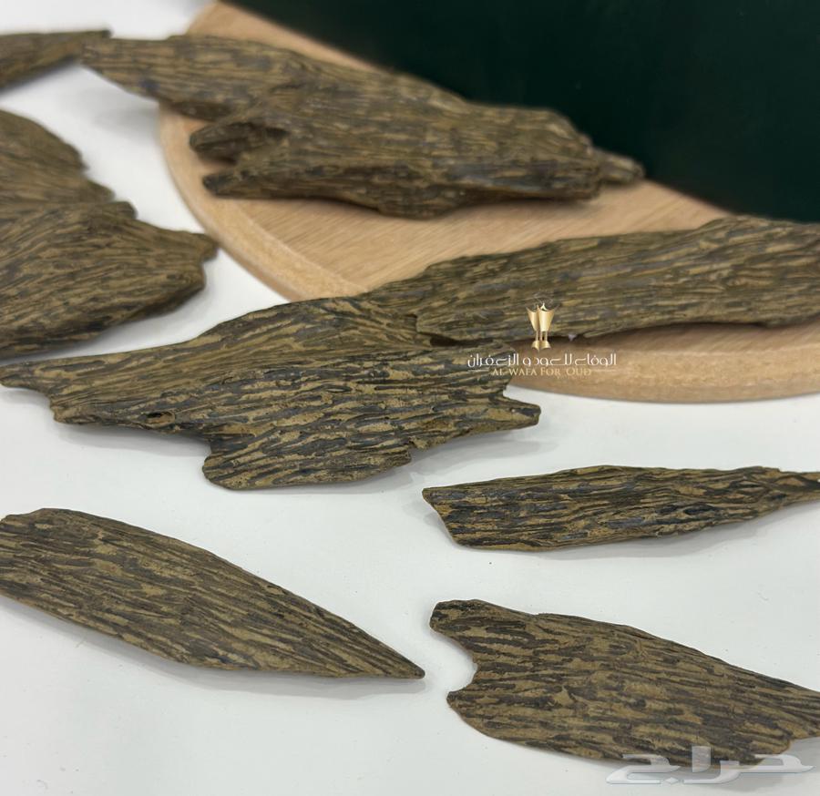 Blue Oud Klimtan, White Face and As Per Condition64500713688579111