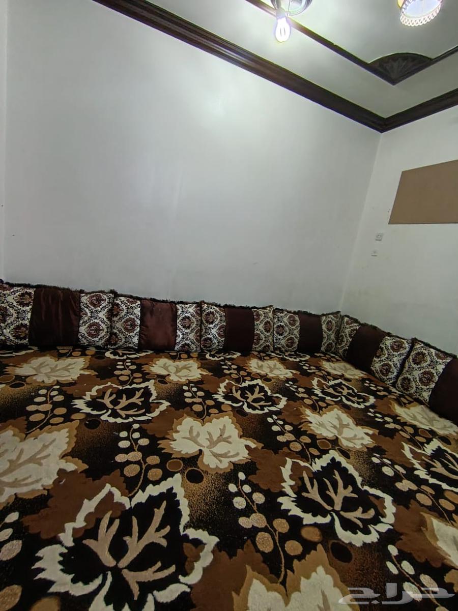 موكيته استخدام شهر البيع معه مراكي وسفنجه ا64499981298178111