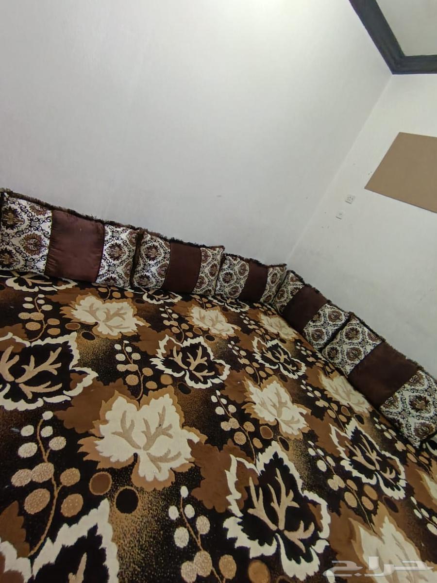 موكيته استخدام شهر البيع معه مراكي وسفنجه ا64499981298178110