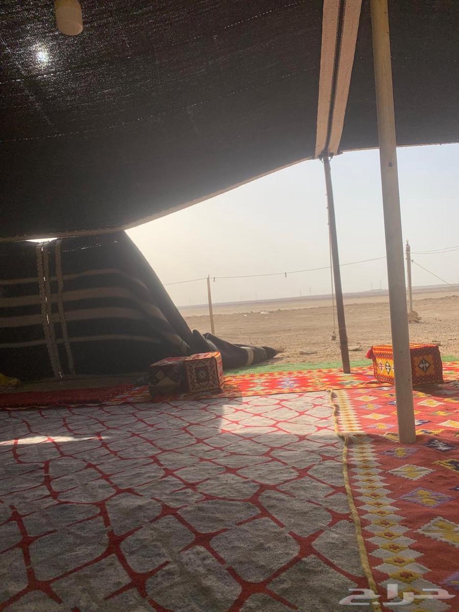 Manual separation hair tent, women's section, 18 meters long and 7 meters wide, 7-year warranty64492325552385112