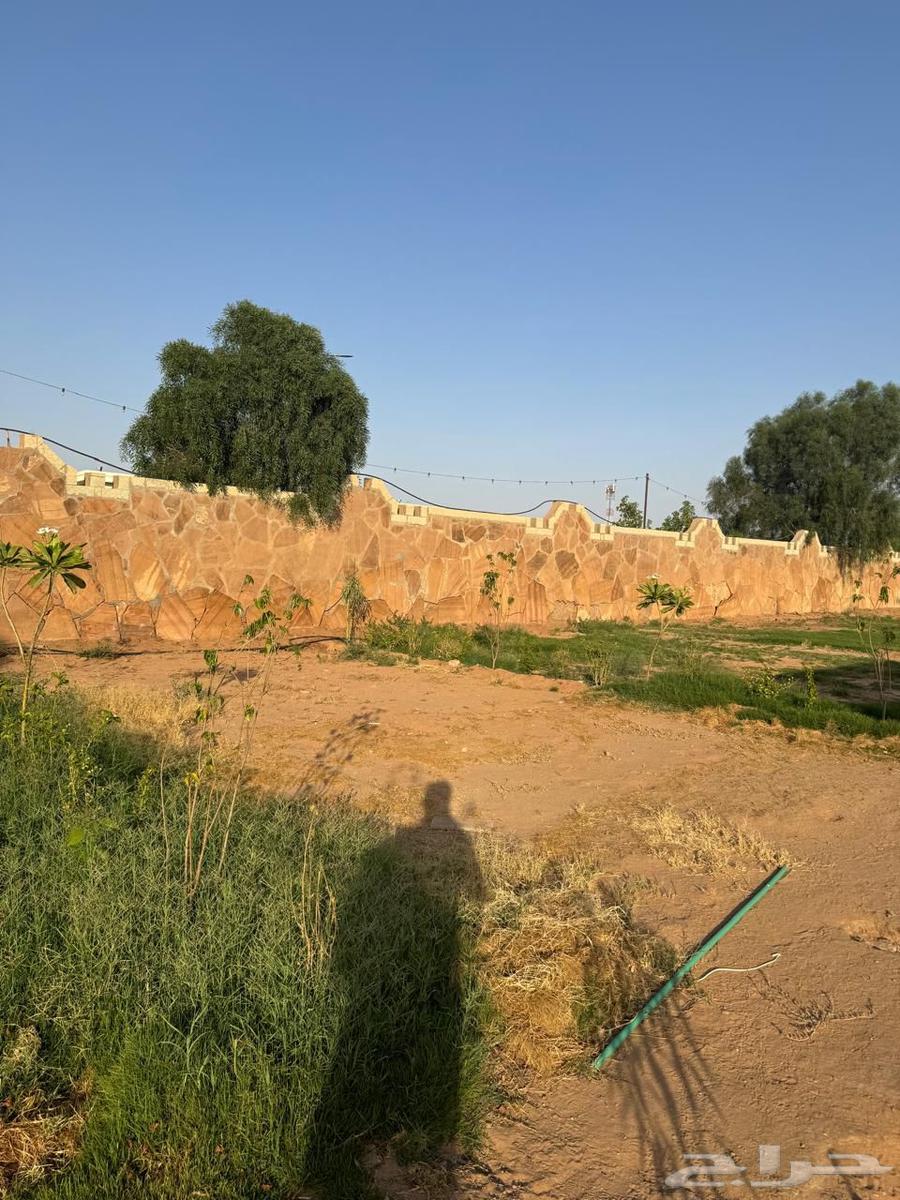 موقع درايف ثرو للبيع مع جلسات64233243339906112