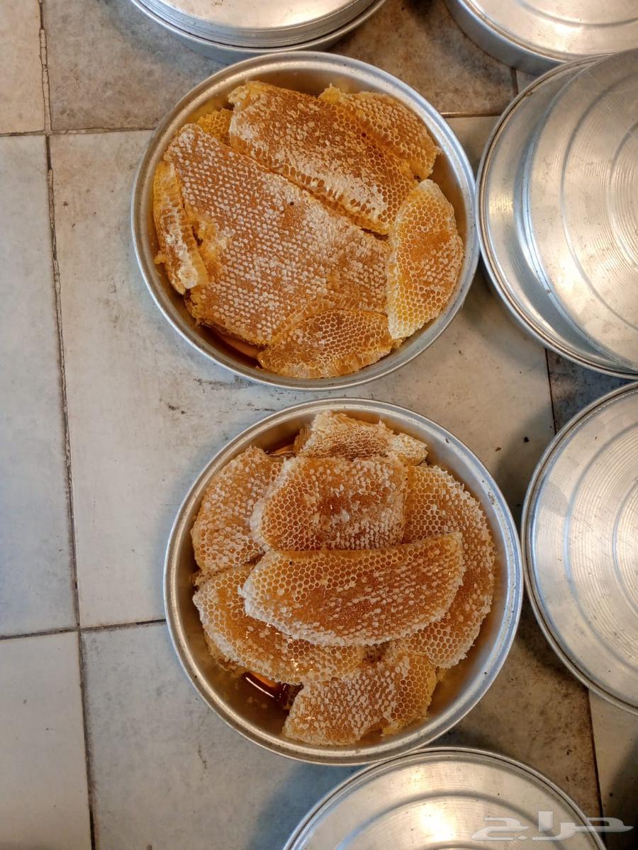 عسل سدره وسمره وطلحه وغذاء المكات وغيرها اصلي ومضمون64496917625601114