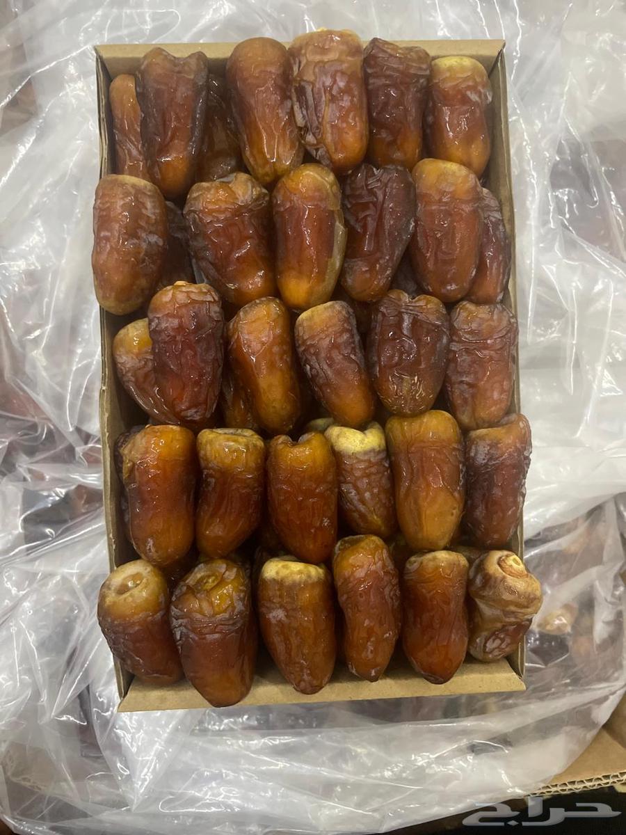 Burni dates for sale64502844926595110