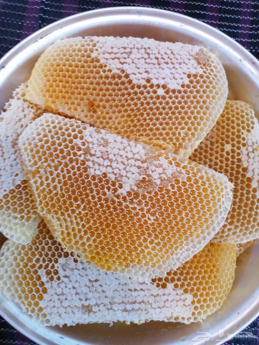Sidr, Sumrah, and Talh honey for sale64495885584385111