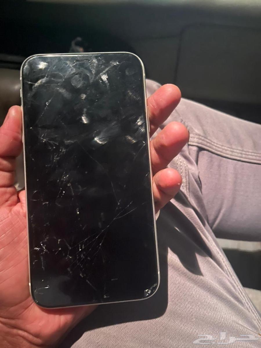 iPhone XR64495775847553114