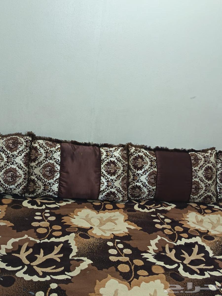 موكيته استخدام شهر البيع معه مراكي وسفنجه ا64499981298178113