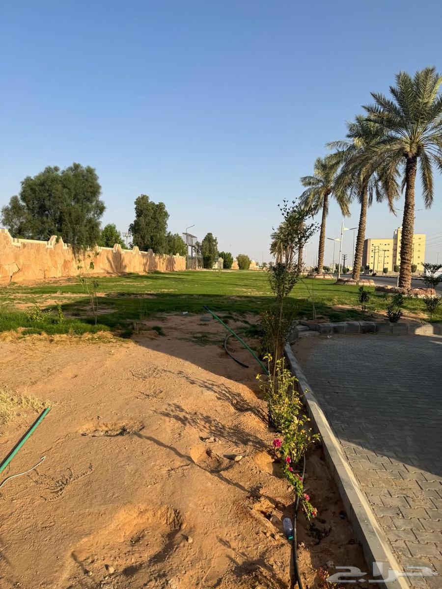 موقع درايف ثرو للبيع مع جلسات64233243339906111