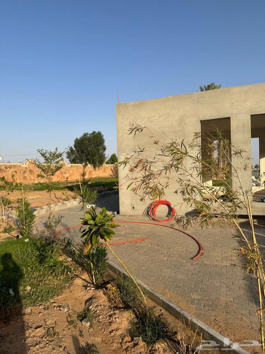 موقع درايف ثرو للبيع مع جلسات64233243339906114