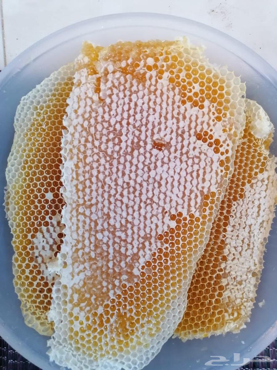 Sidr, Sumrah, and Talh honey for sale64495885584385112