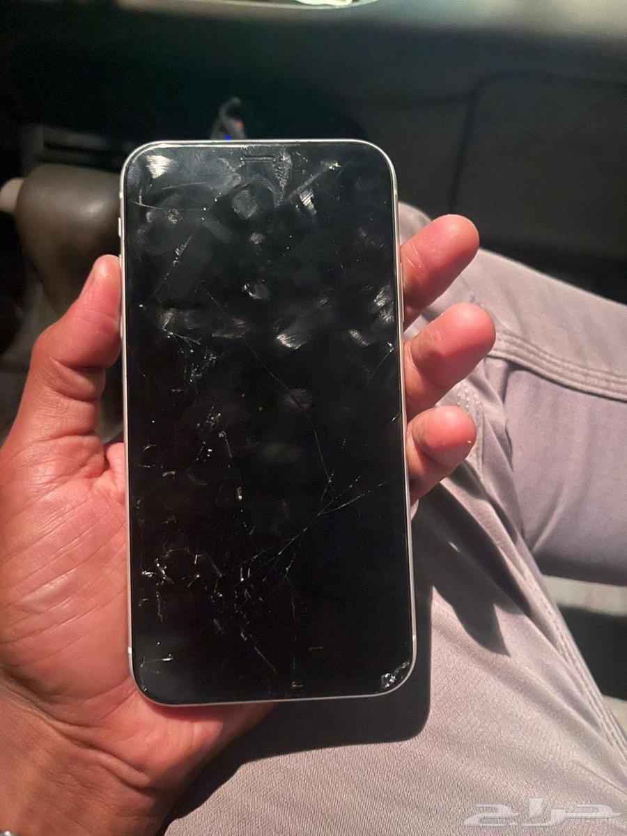 iPhone XR64495775847553110