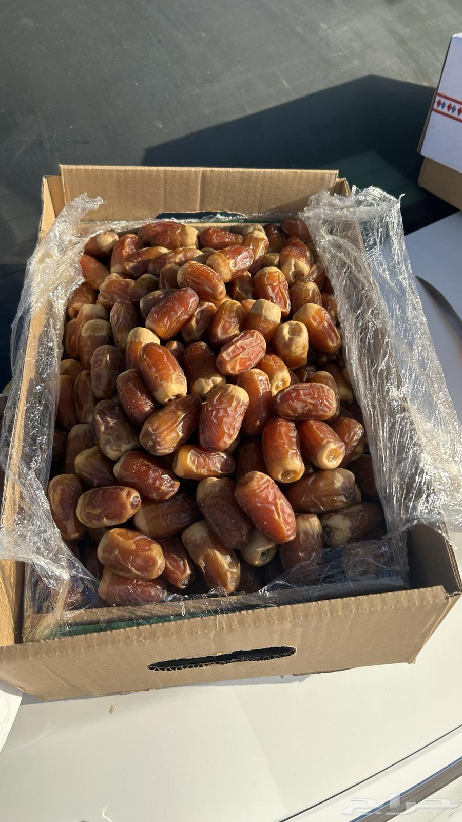 تمر صقعي فاخر عرض خاص توصيل مجاني64507431451649112