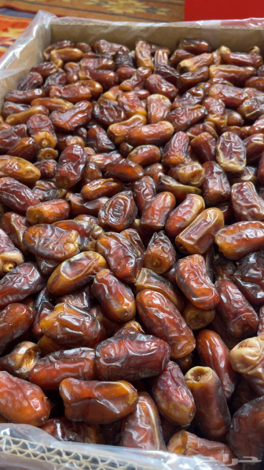 تمر برني رقم 2 شي نظيف و طيب64507179390467112