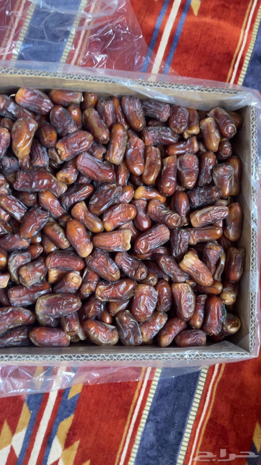 تمر برني رقم 2 شي نظيف و طيب64507179390467113