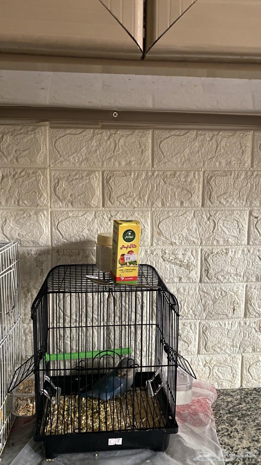 فرخ روز اليف هدد داخلي مزاجي64505875346435113