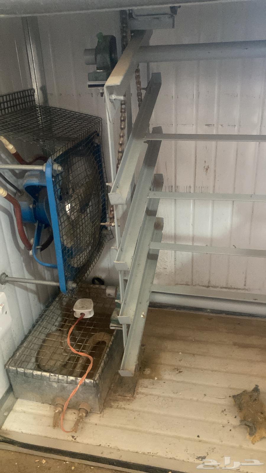 فقاسه تشيل حول 40064506034878337112