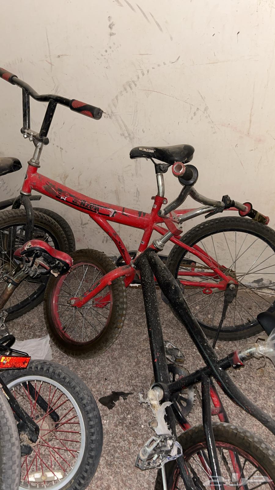 Cobra bicycle size 1664509729144323110