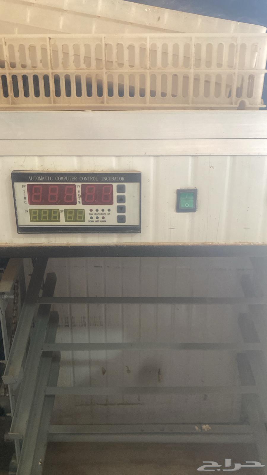 فقاسه تشيل حول 40064506034878337113