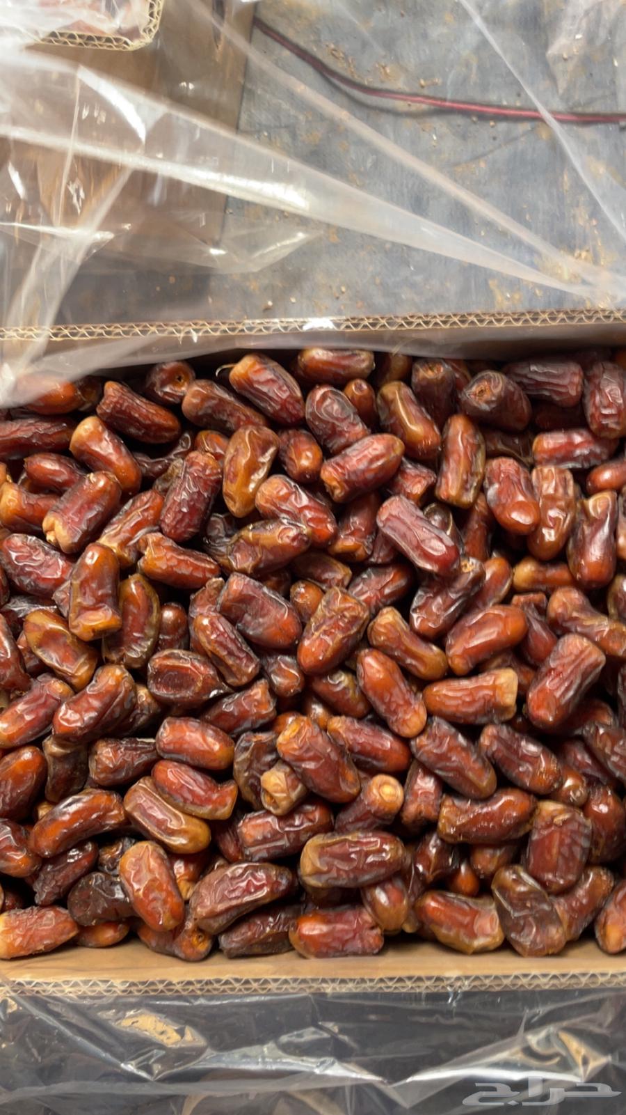 تمر برني رقم 2 شي نظيف و طيب64507179390467110