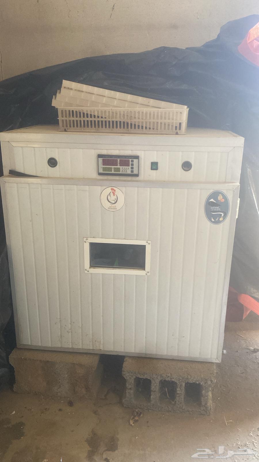 فقاسه تشيل حول 40064506034878337111