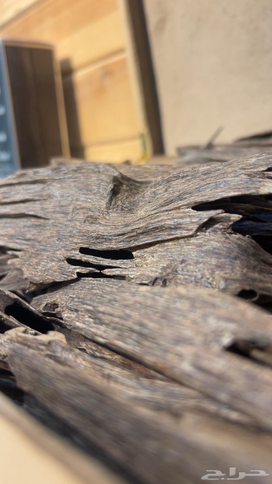 عود هندي طبيعي سعر جمله وسعر مميز لفتره محدوده64505217825921110