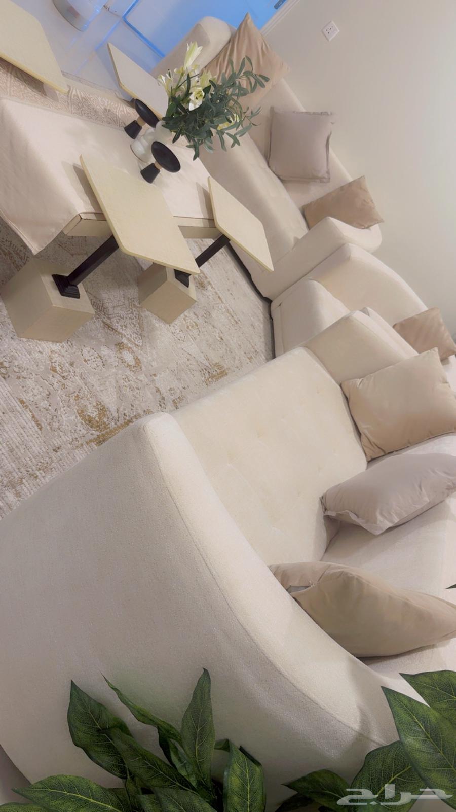 Sofa64503582120193110