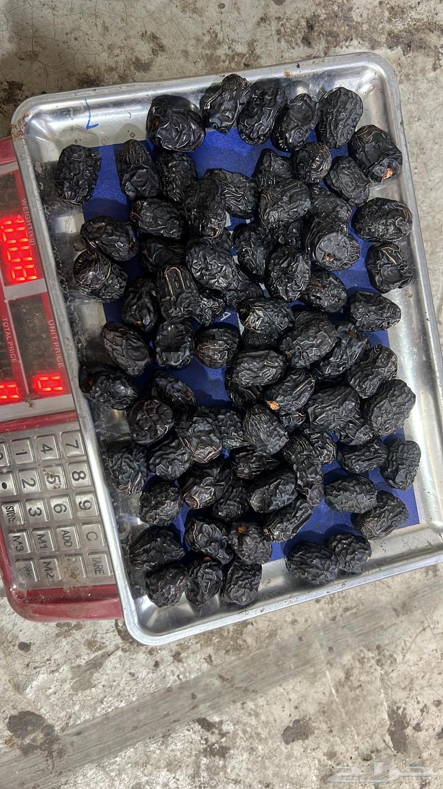 Premium Ajwa Dates64506899910913110