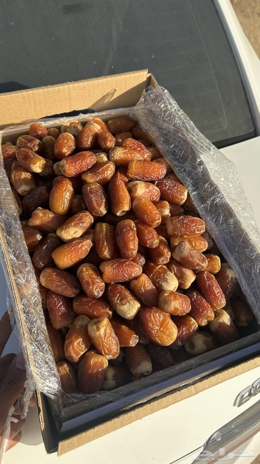 تمر صقعي فاخر عرض خاص توصيل مجاني64507431451649111