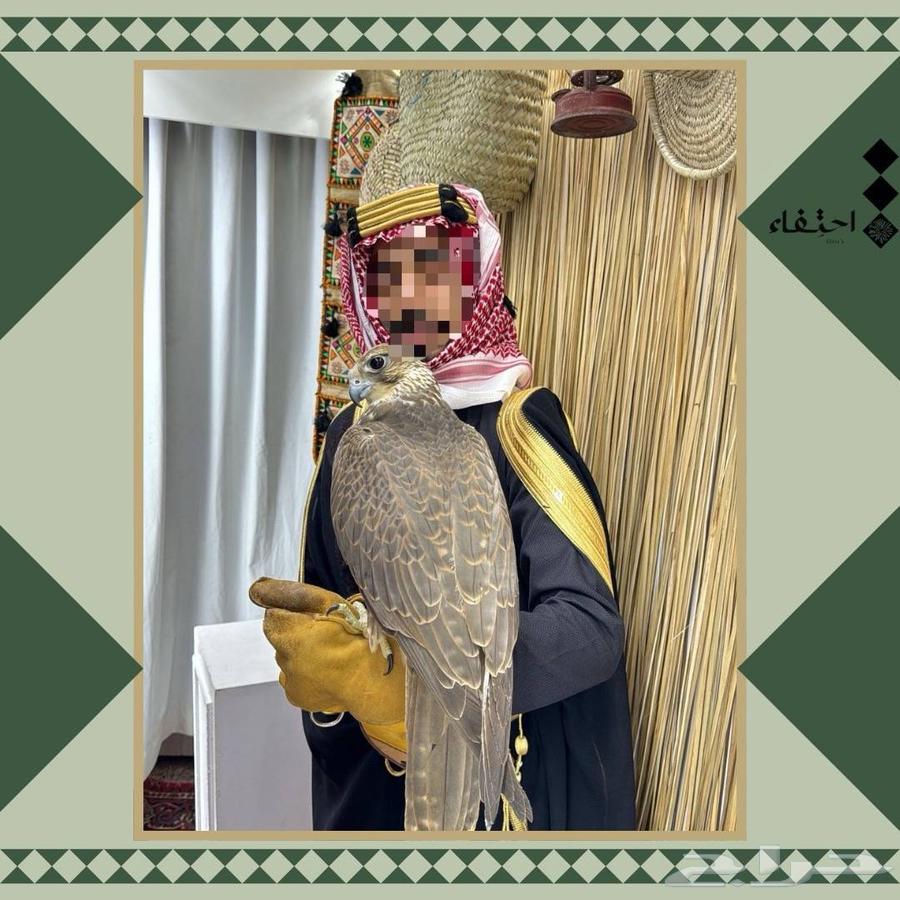 صقور للأيجار للاحتفالات والمناسبات64505287677315110