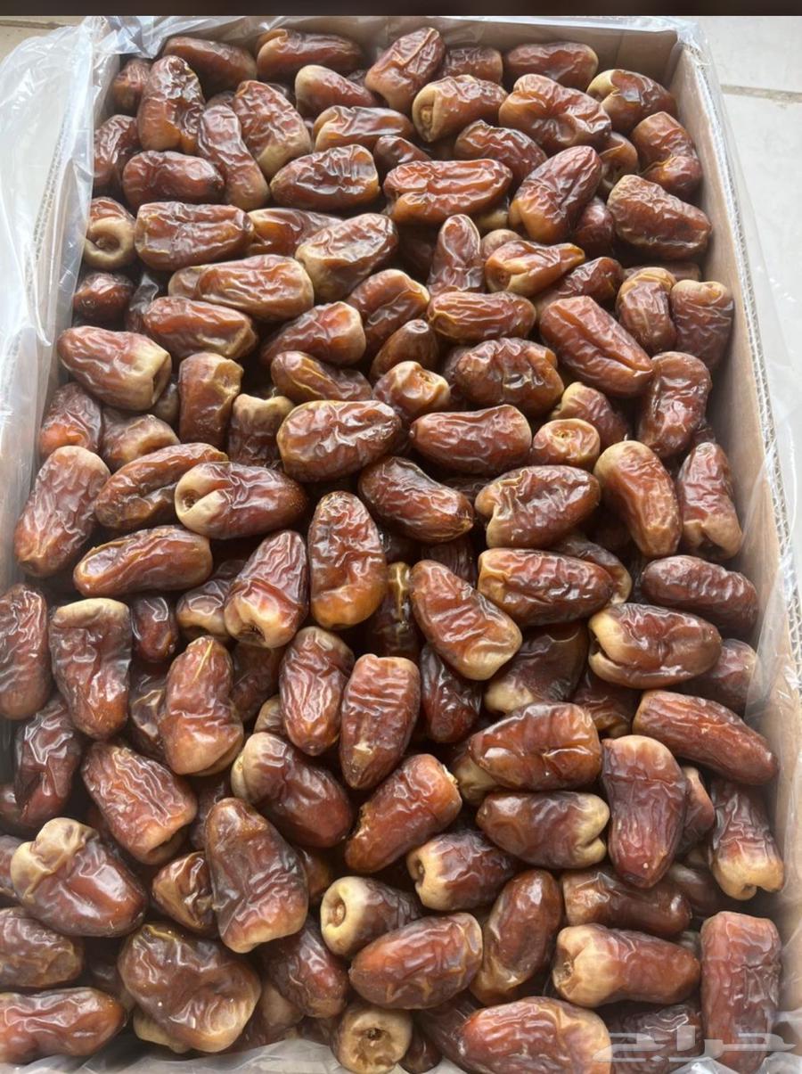 برني العيص ( كرتون ) موجود في جده حاليا64509124112642110