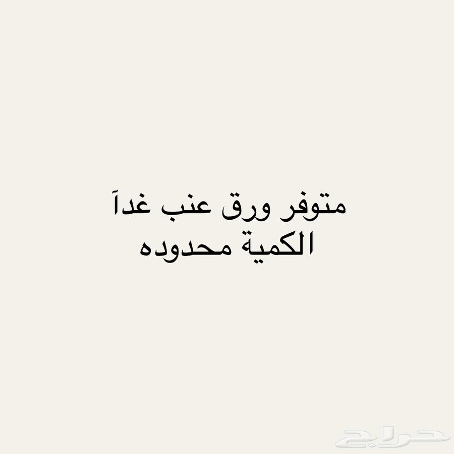 Grape leaves at an affordable price64508341354625110