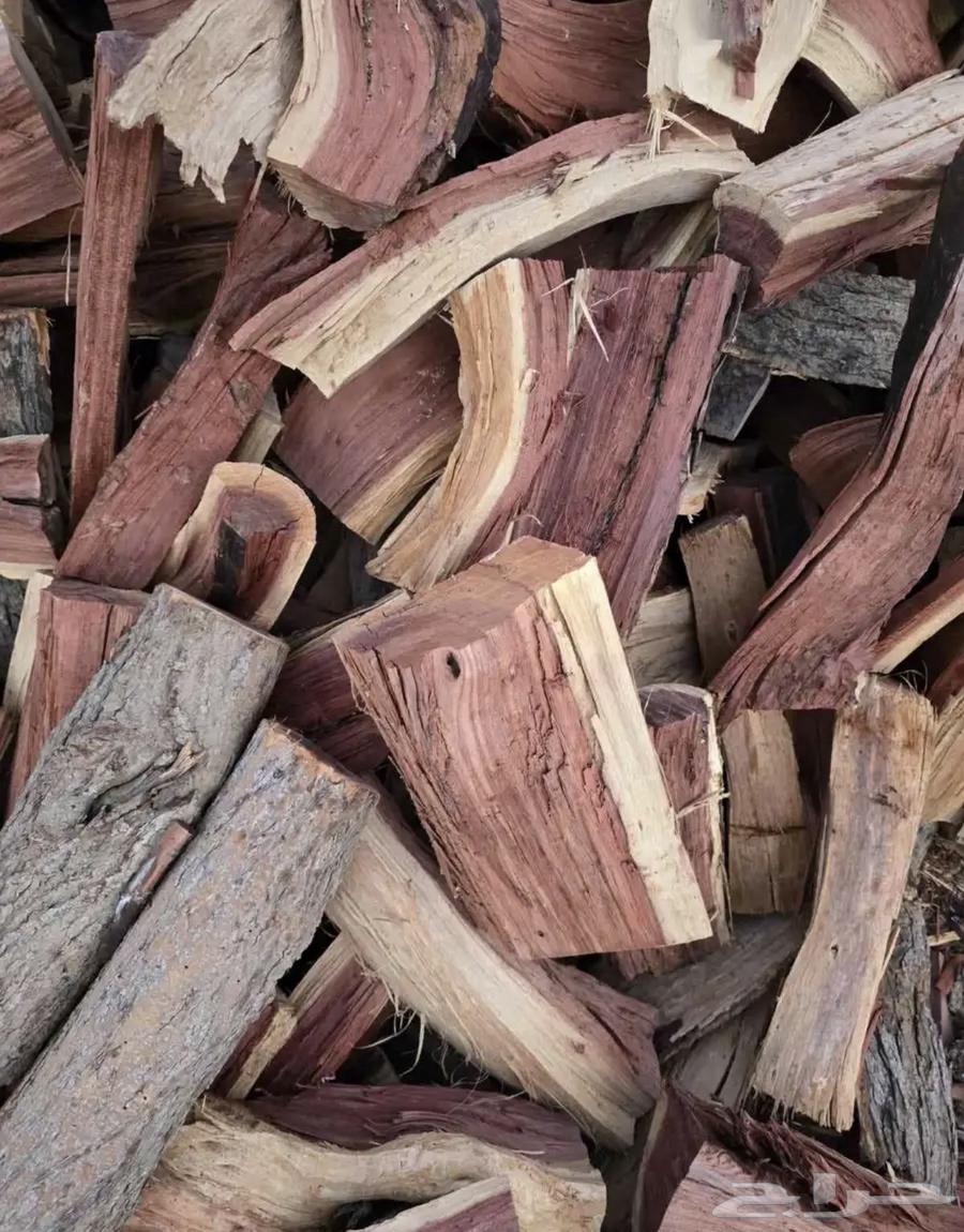 حطب سمر يابس ومضمون64506577320833114