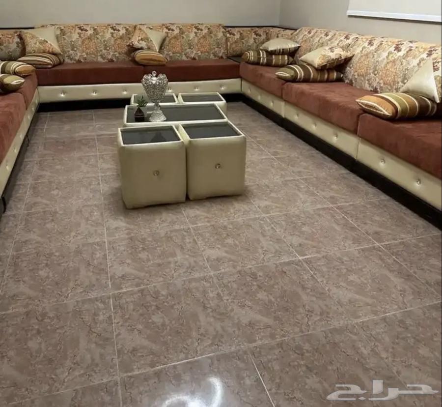 Clean sofa64505550191491110