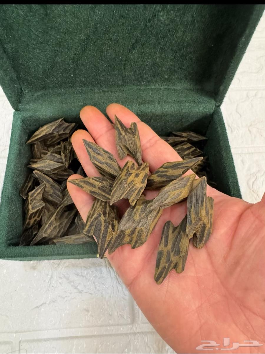 First-grade Tayer, one ounce for 45 riyals64504119099011110