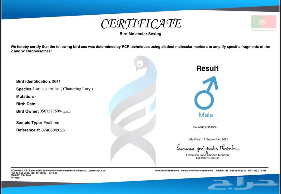 لوري شاترينق تم البيع64507810046209114