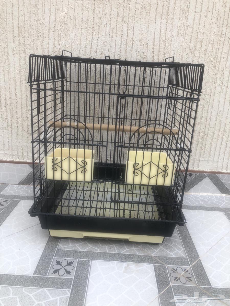 قفص بغبغاء64505710490497112