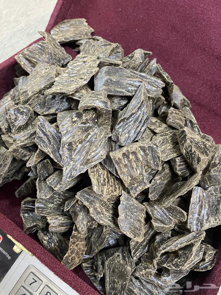 Kolmantan wholesale price, good oud don't miss it64503199925251110