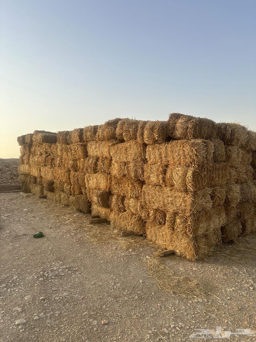 تبن للبيع شد متر 95 9064510747037059110