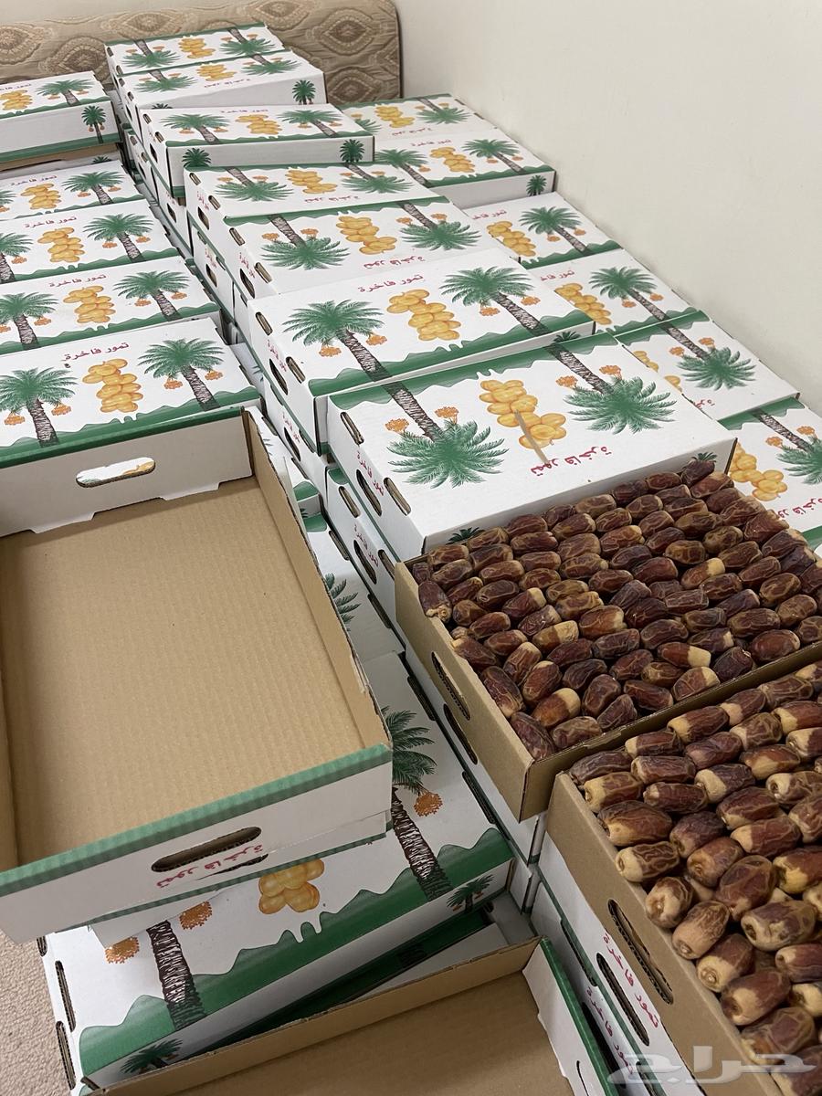 Tamr Sugaie64508859669633113