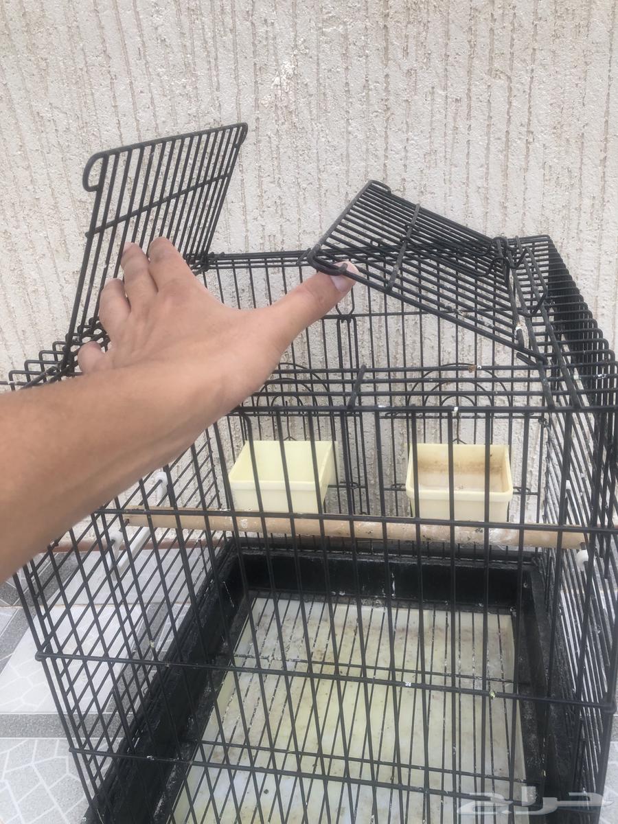 قفص بغبغاء64505710490497110