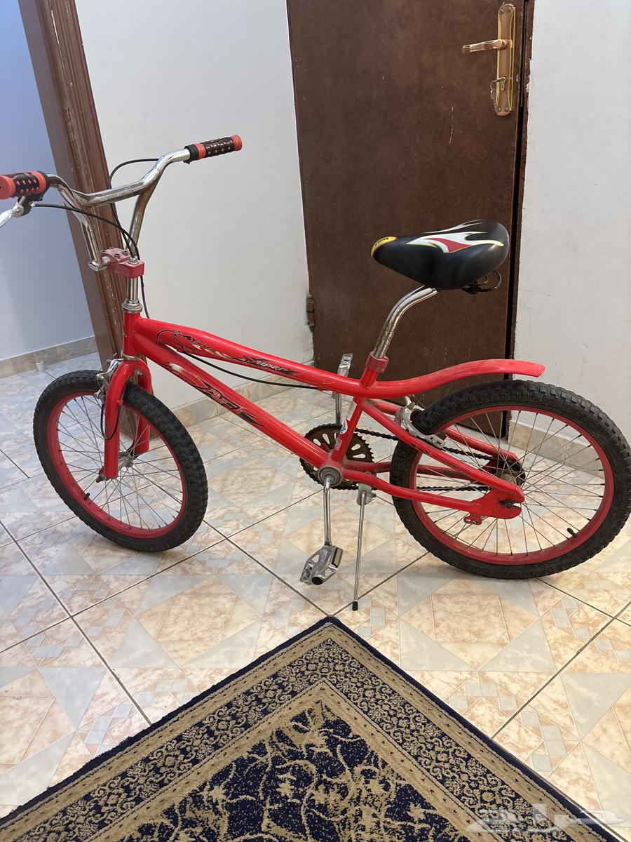 سيكل كوبرا نظيف موجود معه دعامات64508761353987110