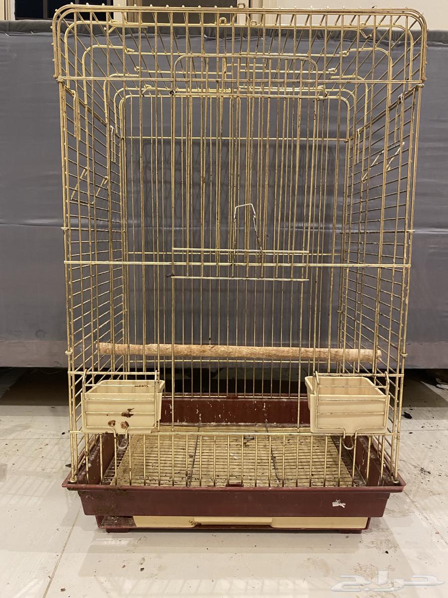 شبك للبيع ذهبي64508999223426110