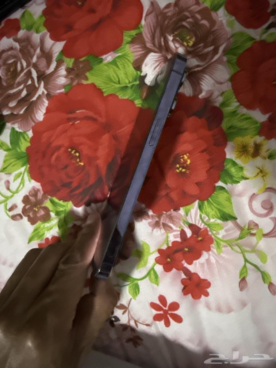 جوال آيفون بروماكس موف 256 قيقا شحن 100 نظيف بكرتونه64503760682498113