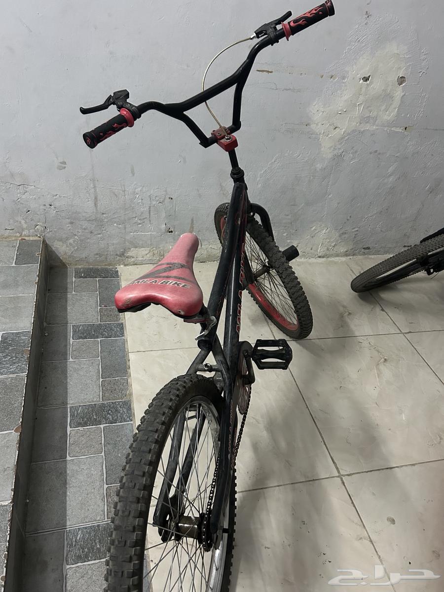Cobra bicycle size 2464509757105666110