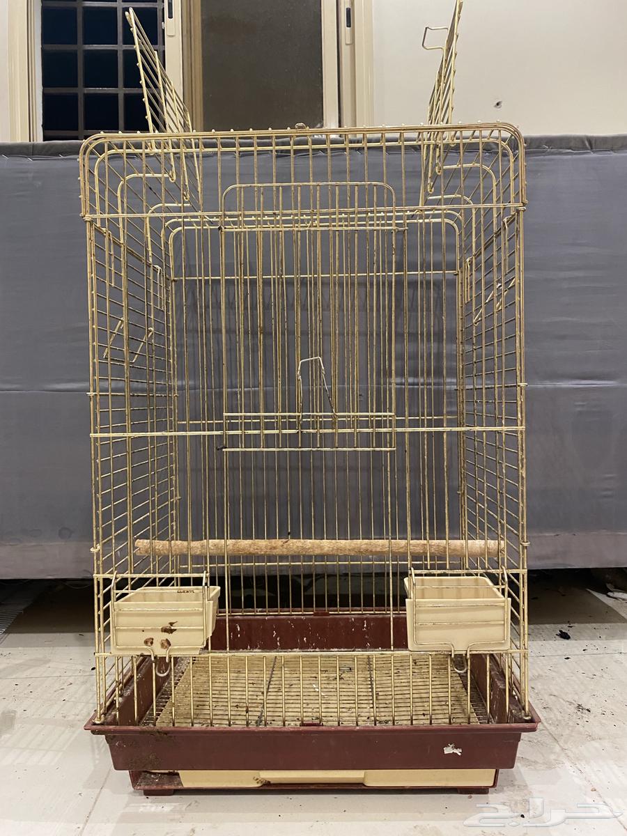 شبك للبيع ذهبي64508999223426111